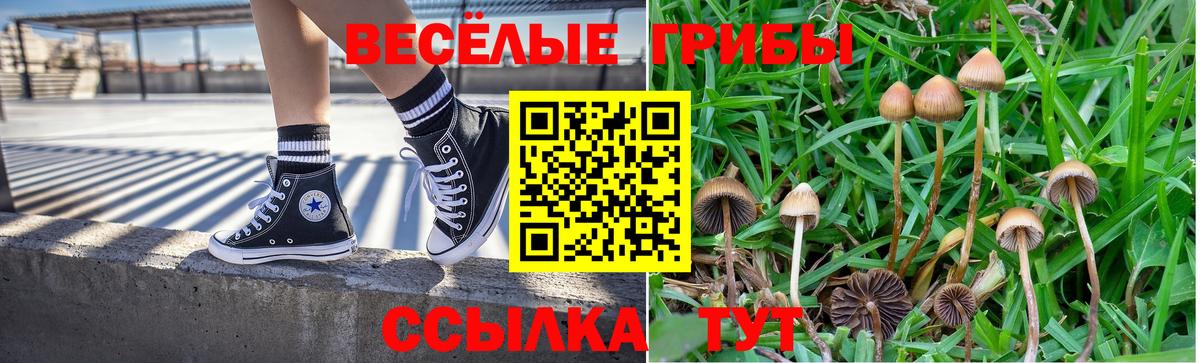 наркотики  Галлюциногенные грибы GOLDEN TEACHER  Вход с VPN  Искитим 