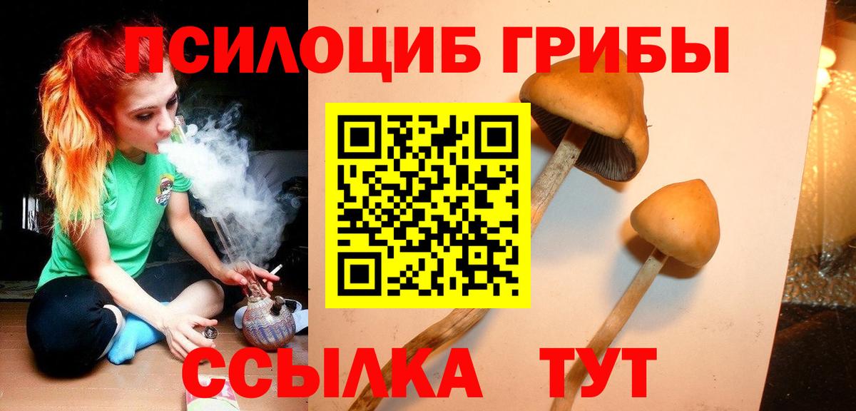 Псилоцибиновые грибы Cubensis Искитим